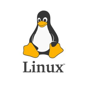 5ca13d8453042 LINUX Systems